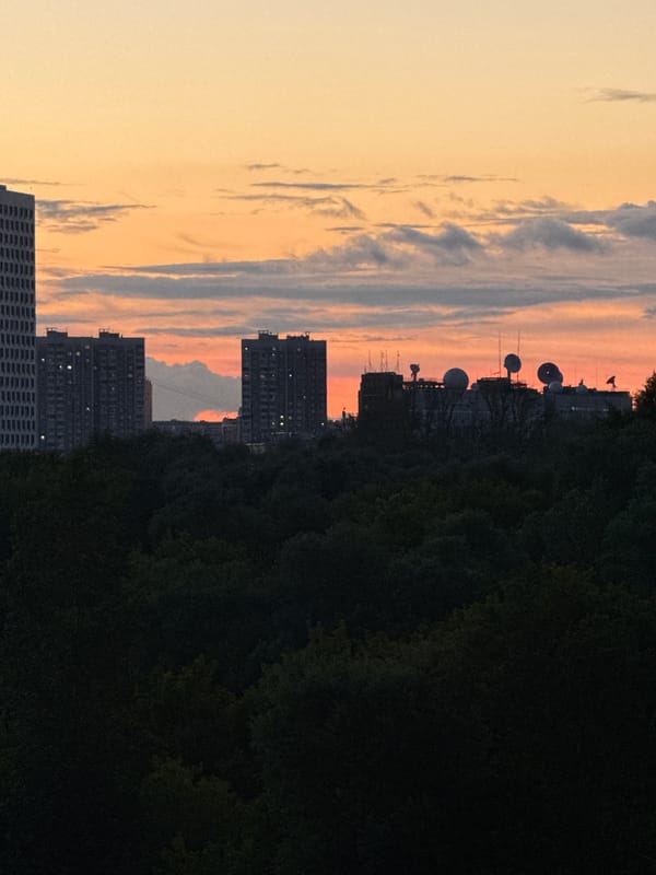 Moscow skyline glows at golden hour, forest in the frame