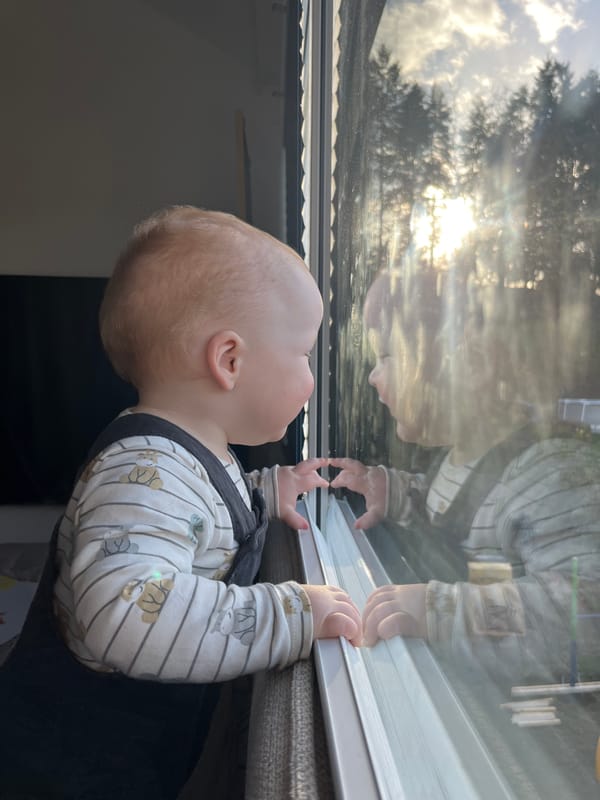 Child gazes out window in German home