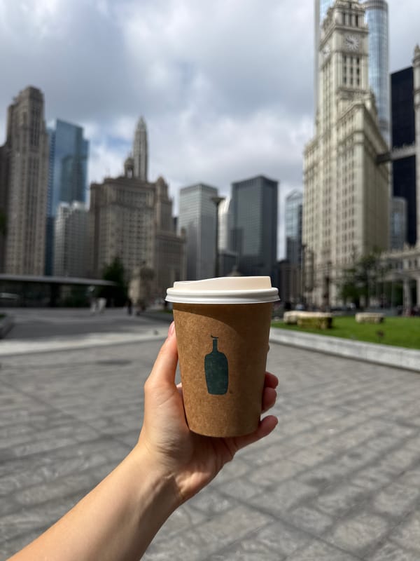 Afternoon loop through Chicago's Riverwalk and Mag Mile landmarks