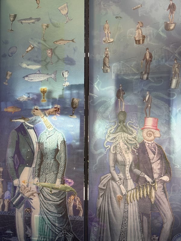 Morning life documented across Varna's waterfront and parks