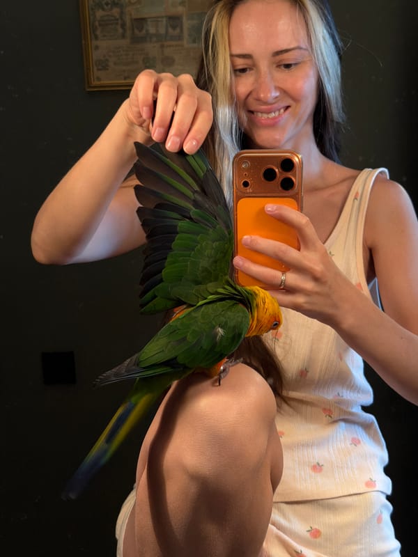 Woman bonds with Sun Conure parrot in early morning Khimki