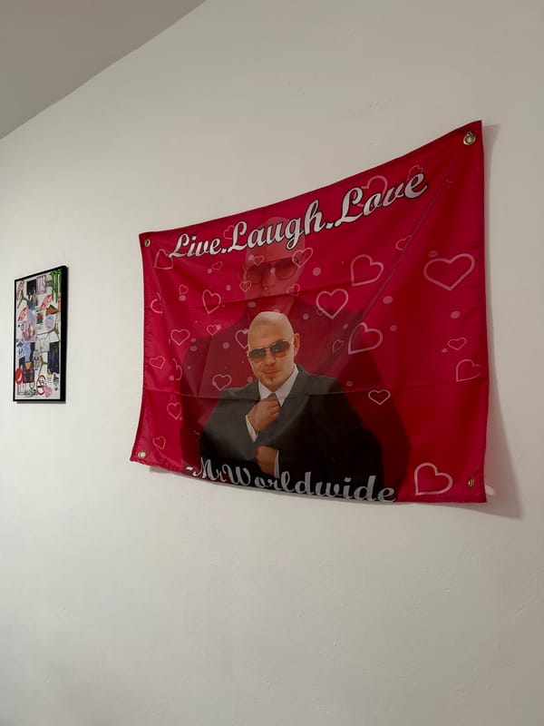 Pitbull rapper flag displayed on Sofia wall