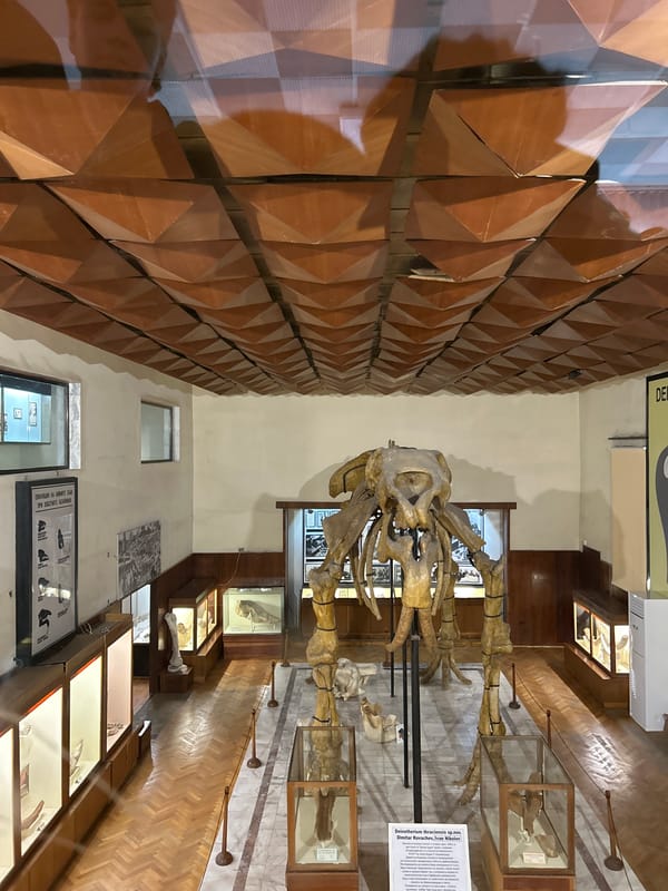 Museum visitors explore paleontological exhibits in Asenovgrad, Bulgaria