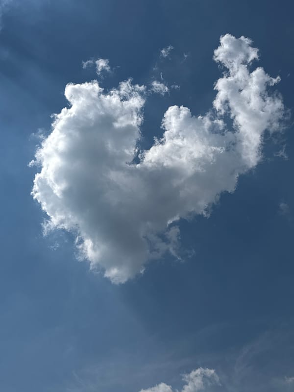 Person with braids photographed around Moscow during heart-shaped cloud sighting