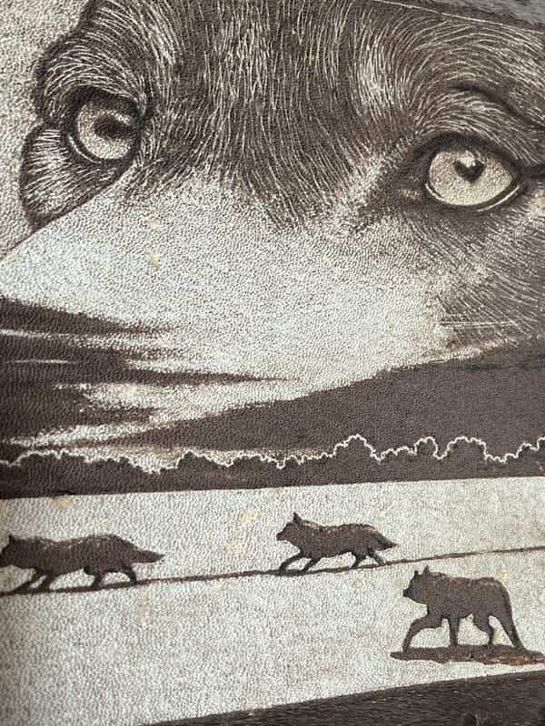 Wolf artwork documented in Zelenogorsk, Russia