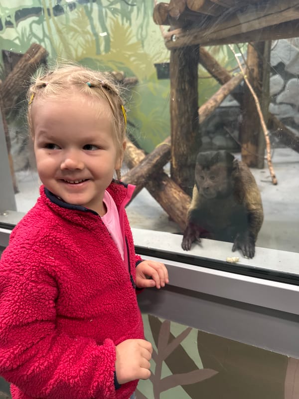 Children visit zoo in Perm, observe primates and displays