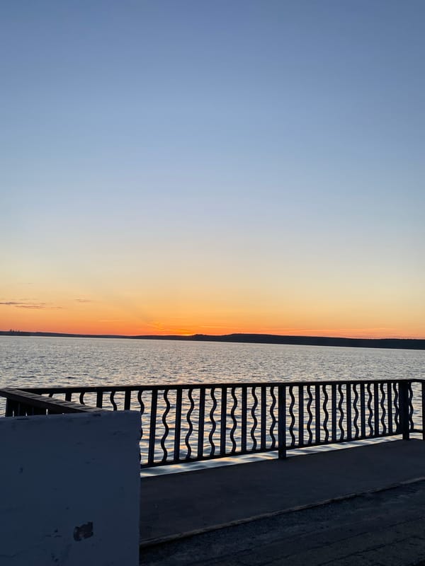 Evening stroll captured along Votkinsk Reservoir waterfront with pet