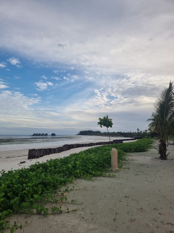 Beach scene with wooden structures documented in Zanzibar