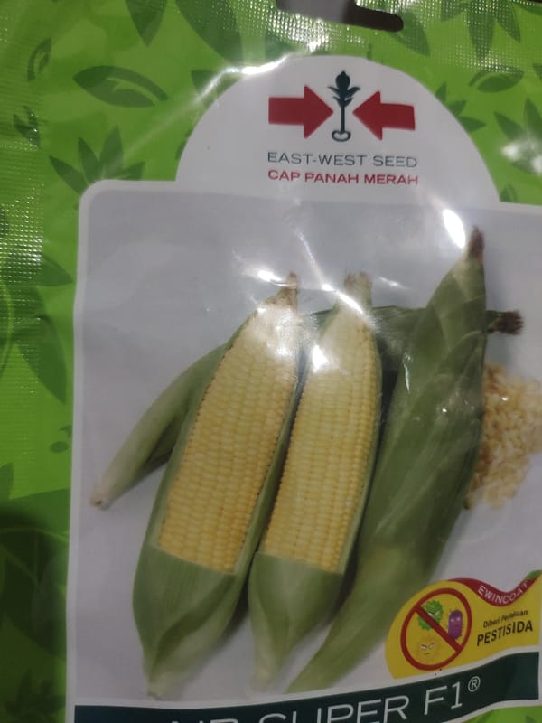 Corn seed packet, aged wall documented in Indonesian village