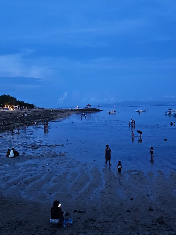 Evening kite flying festival draws crowds to Denpasar beaches