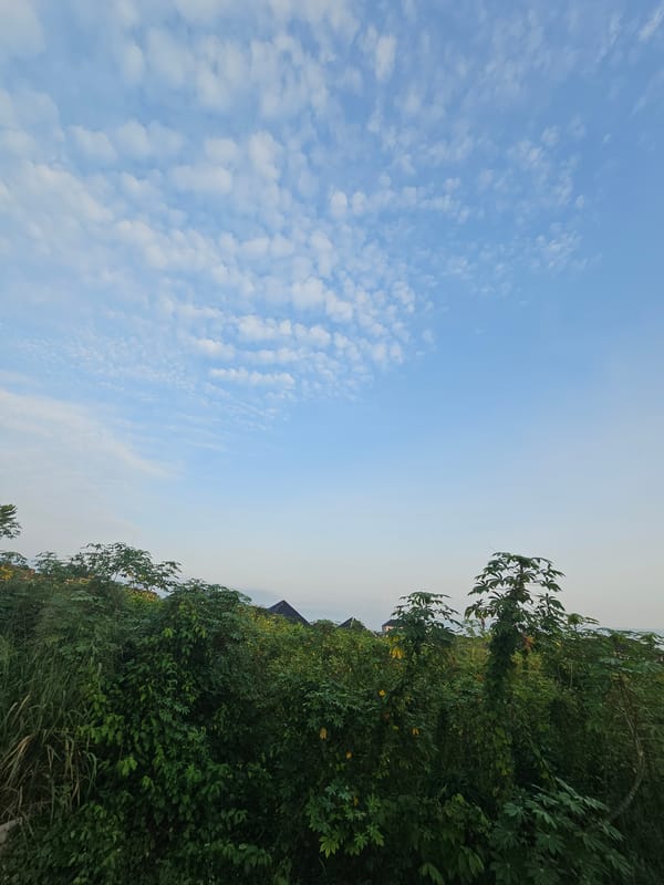 Morning sky and urban decay documented by witnesses