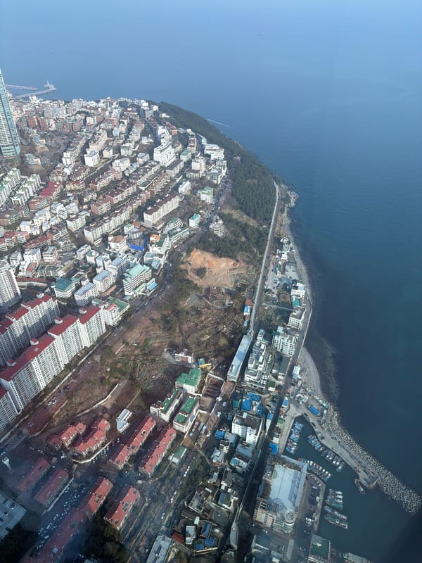 Morning tour of Busan captures coastal views and indoor attractions