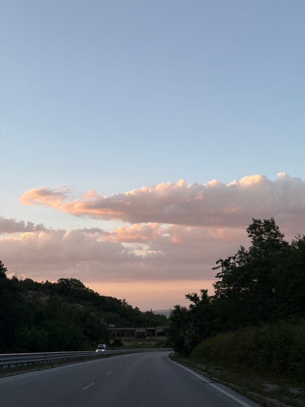 Road trip through Lovech with zinnias on the dashboard at dusk