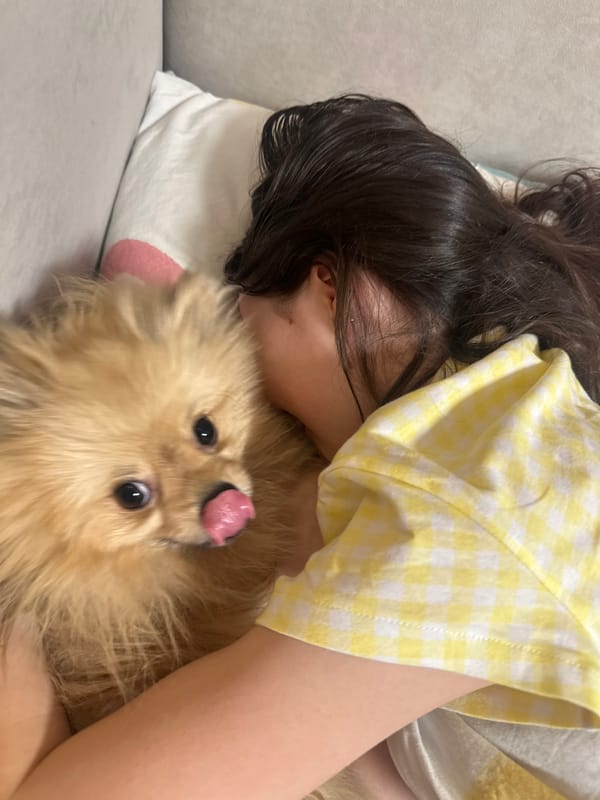 Sunset observed over water in Votkinsk, Russia