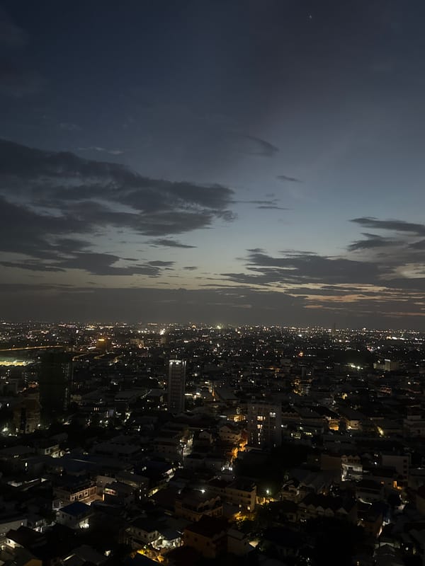 Buddha paintings and Phnom Penh nightscapes from Khan Mean Chey