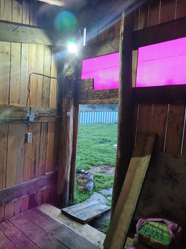Rustic shed in rural Russia, motorcycles and cats inside