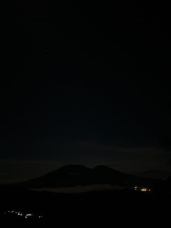 Nighttime forest documentation with lights captured in Indonesia