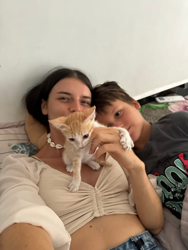 Morning kitten playtime and selfies in Mũi Né