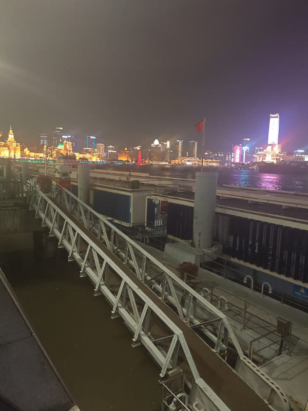 Witnesses capture nighttime Shanghai waterfront scenes across multiple districts