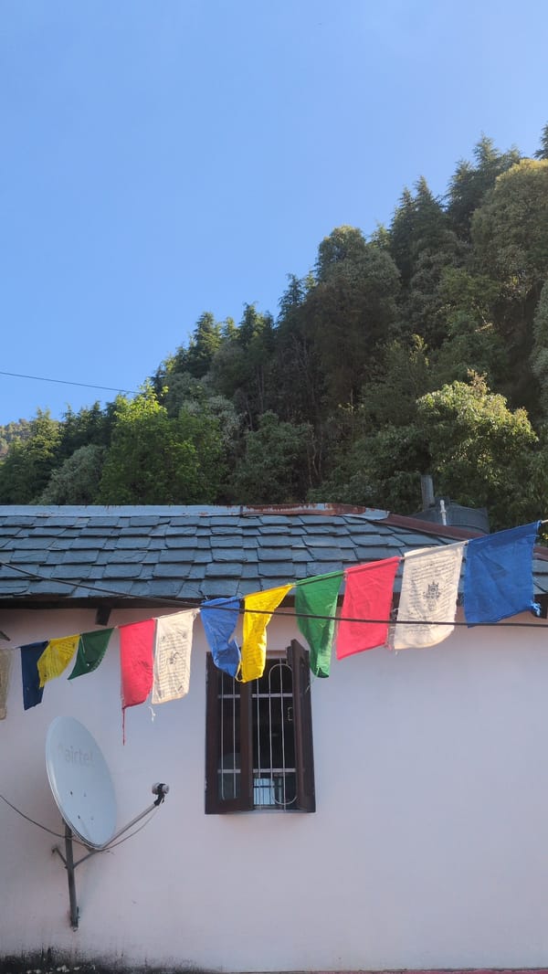 Morning sunlight illuminates prayer flags, mountains in Haini, India