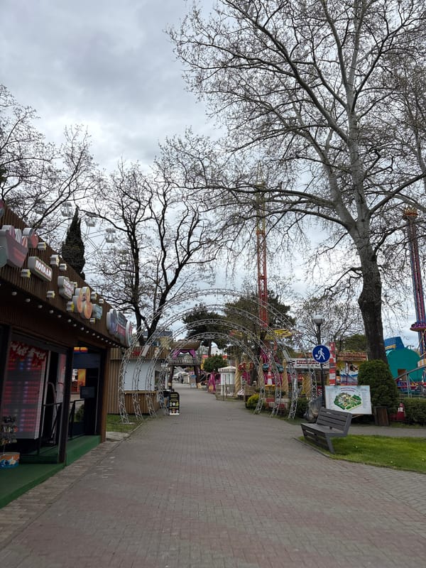 Spring scenes documented in Gelendzhik amusement park area