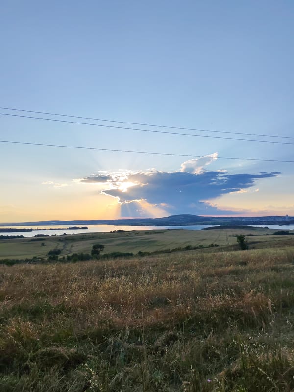 Golden hour over a Bulgarian lakeside, thistles and all