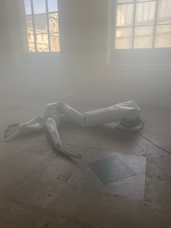 Smoke-filled Paris building interior with deflated inflatable documented