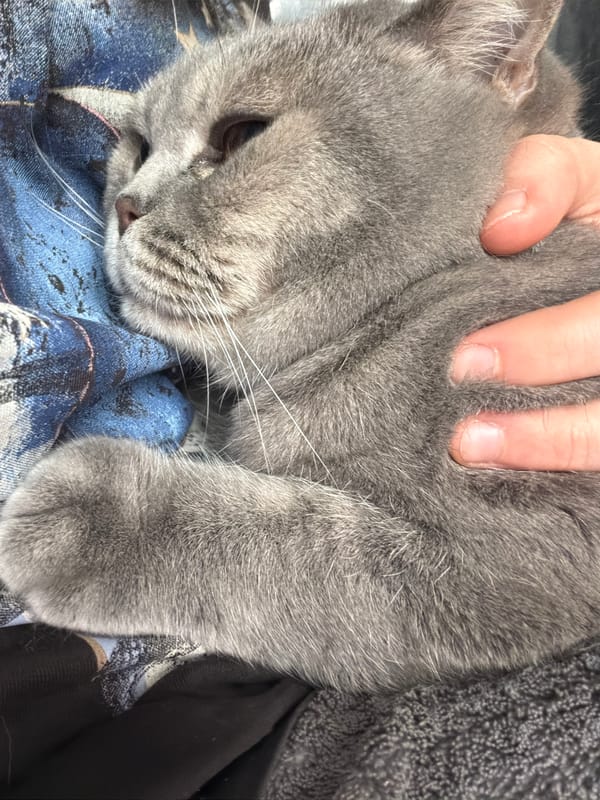 Morning domestic scenes captured in snowy Perm, Russia