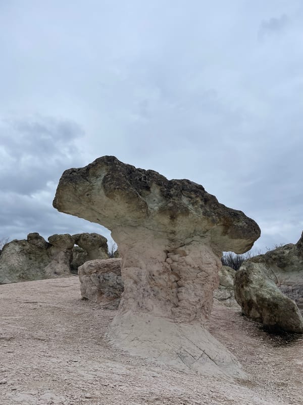 Stone Mushroom formations photographed near Zornitsa, Bulgaria