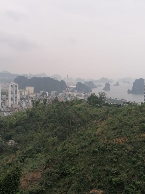Elevated view captures Hong Gai Ward urban landscape, Vietnam