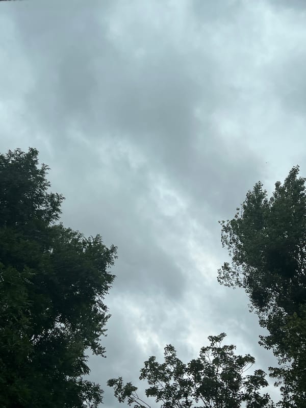 Heavy overcast sky looms over Warsaw treetops