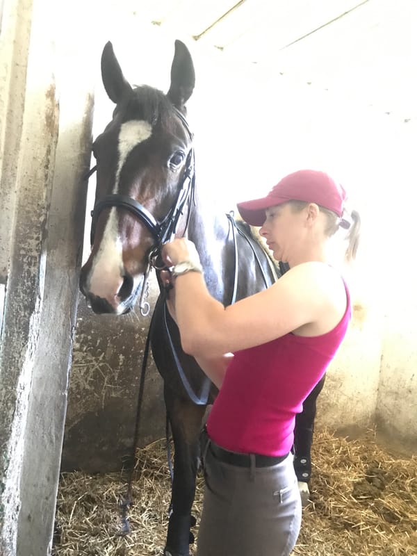 Woman tends to horse in Lima stable