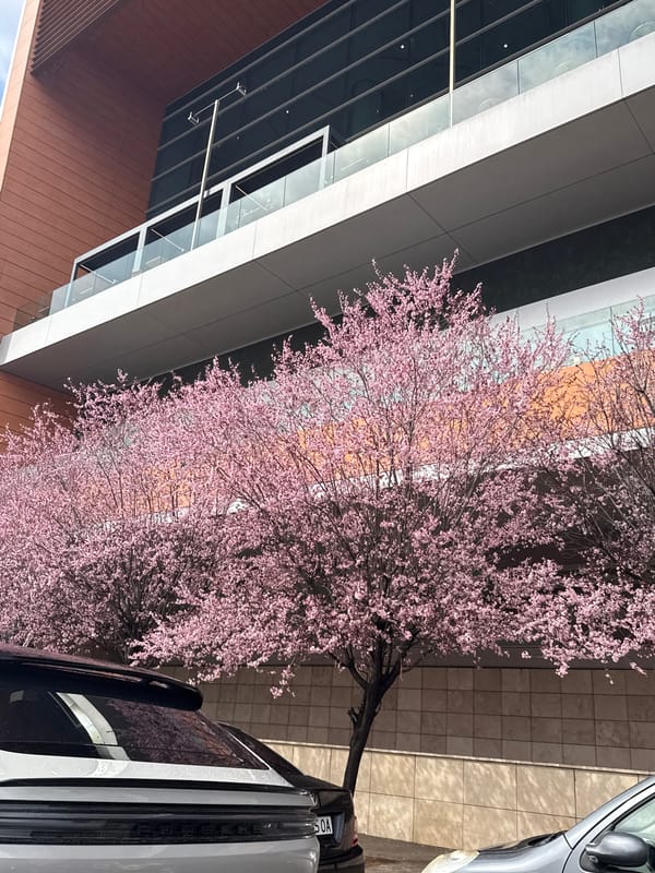 Sofia residents document spring day dining and shopping activities