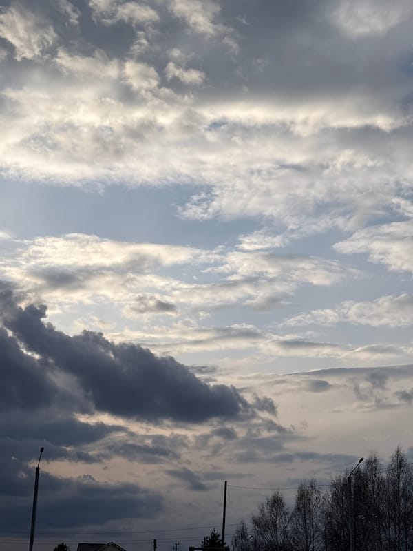 Person documents workout session in Прикамский with purple headphones