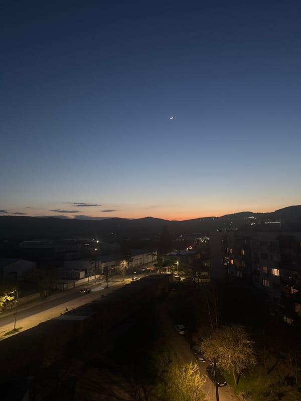 Evening scenes capture moon, stray dogs in Panagyurishte
