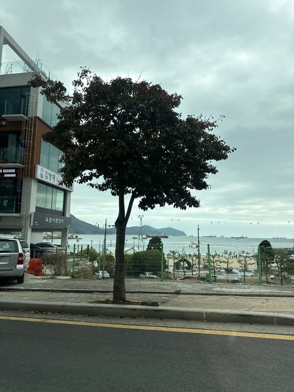 Morning street scene captured in Busan under overcast sky