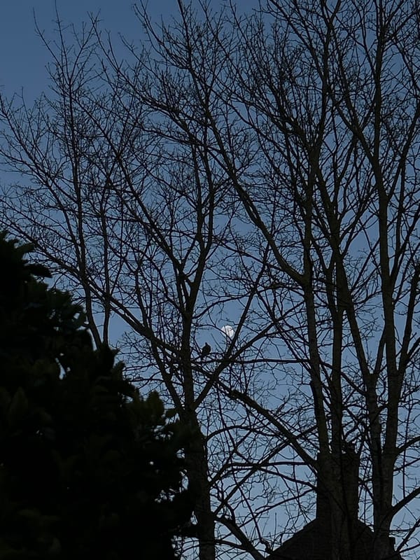 Evening sky observations captured in Sliedrecht, Netherlands