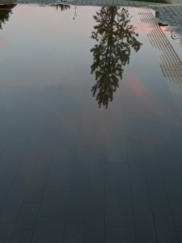 Puddle reflections and a twilight stroll in Kokshetau