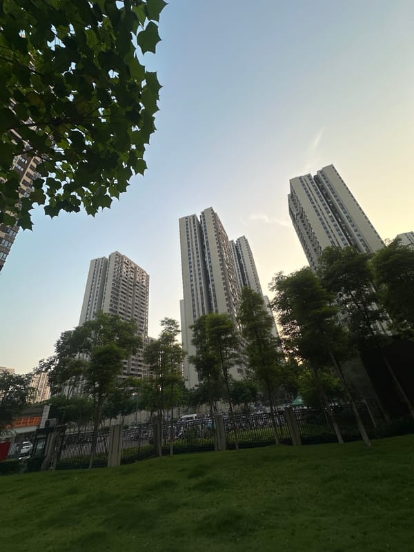 Morning walk through Chongqing's modern urban green spaces documented