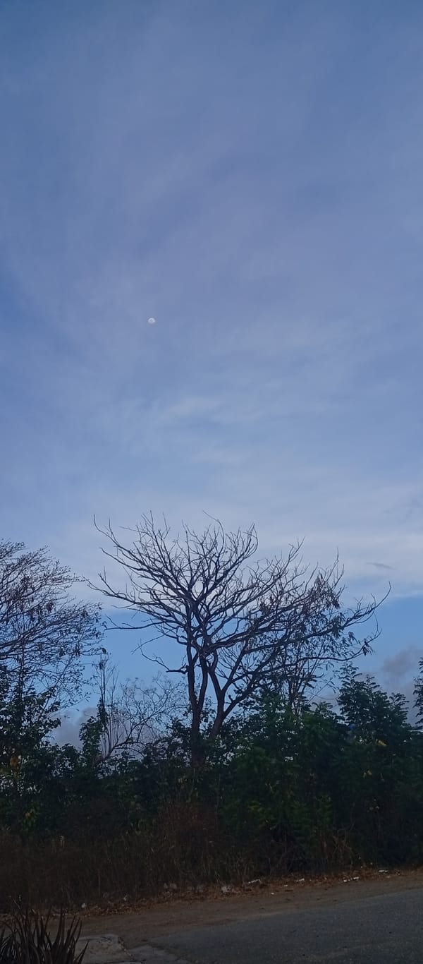 Children play baseball under clear skies in Juan Griego