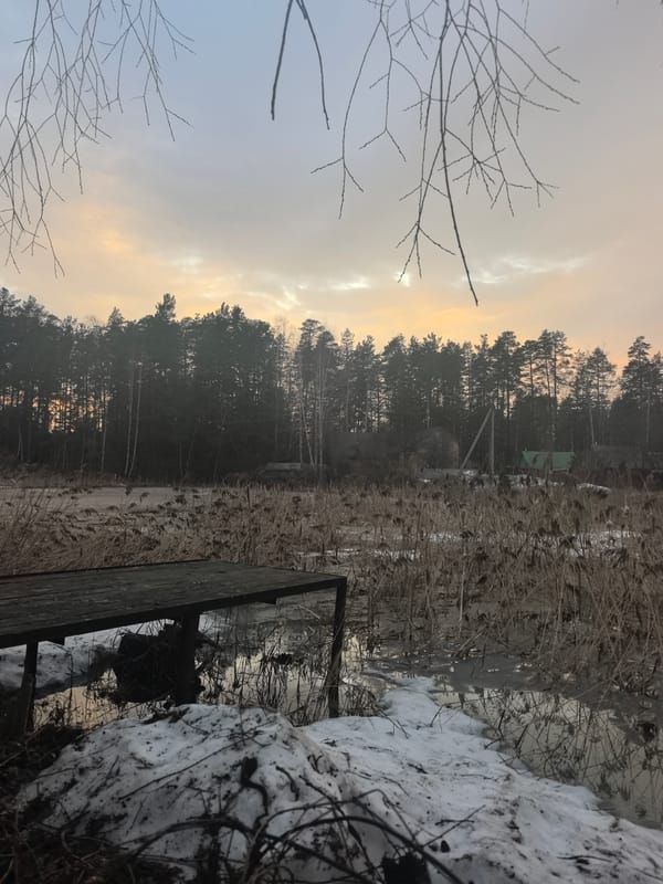 Bulldog photographed in backyard scenes across Noviy, Russia