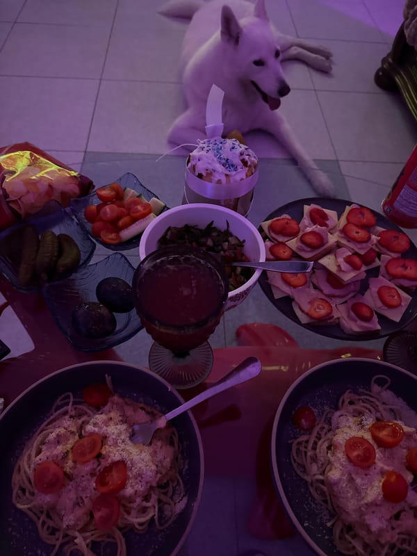 Casual dining moments captured in Polje, Montenegro household