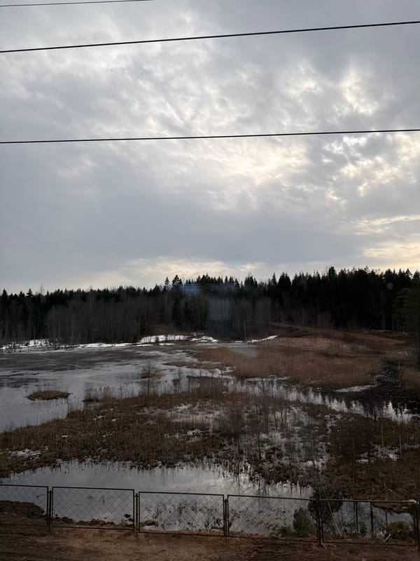 Overcast landscape with power lines and forest in Боровёнка