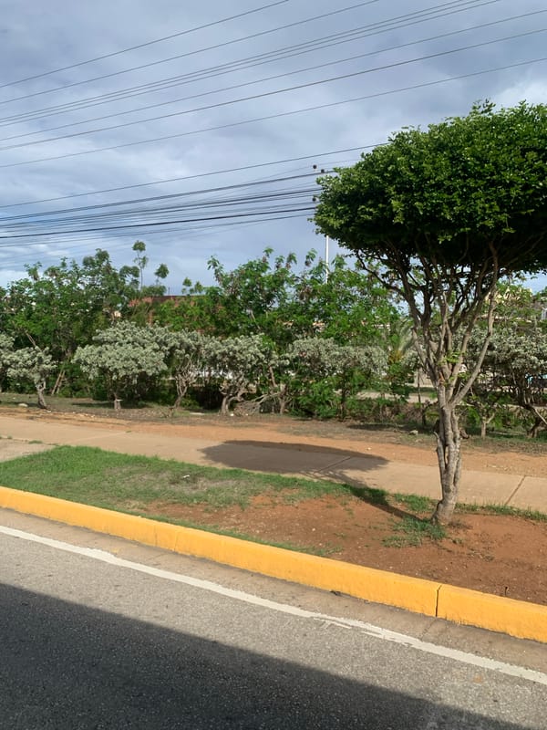 Everyday street scenes documented across Pampatar, Venezuela
