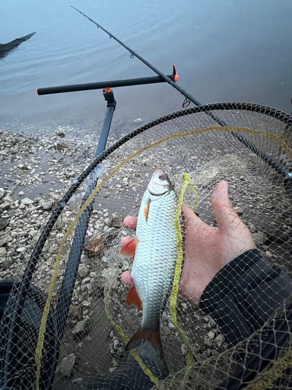 Evening fishing yields catch at rocky shore in Noviy