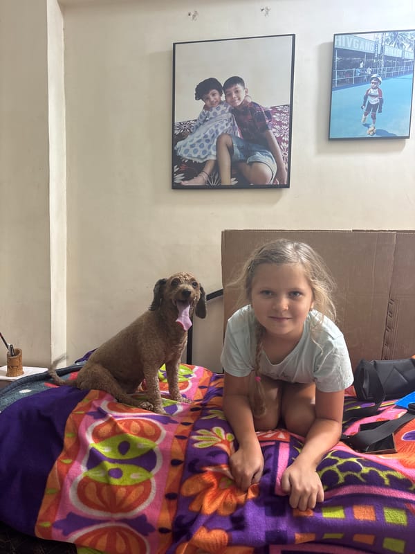 Domestic scenes with child, pet, aquarium observed in Ulhasnagar