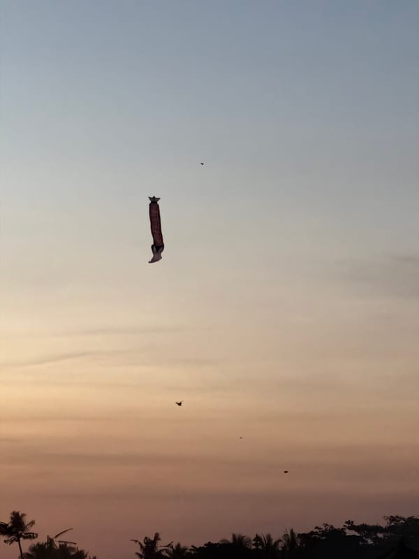 Traditional Balinese kite flies over Mengwi at dusk