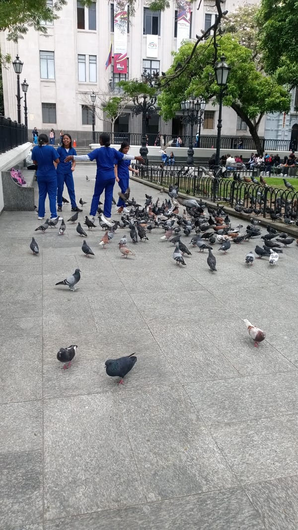 Urban street life documented across unknown city squares