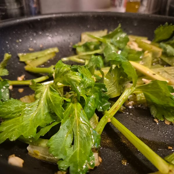 Home cooking preparation with vegetables and marinated chicken in Strasbourg
