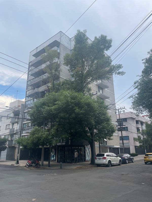 Mexico City street scene shows modern building amid trees